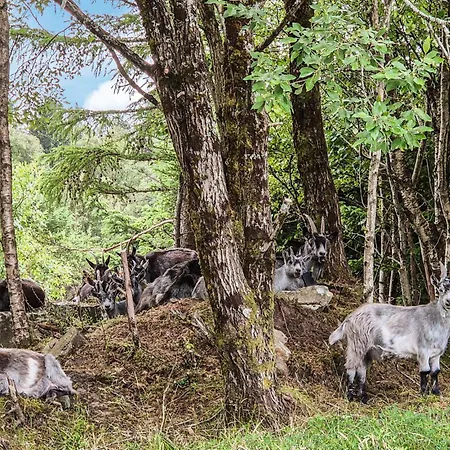 Amazing In Casa vacanze *